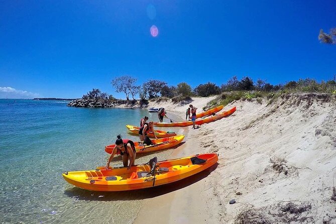 Gold Coast Kayaking & Snorkelling Tour (2.5 Hours) - Wildlife, photos, and the return paddle