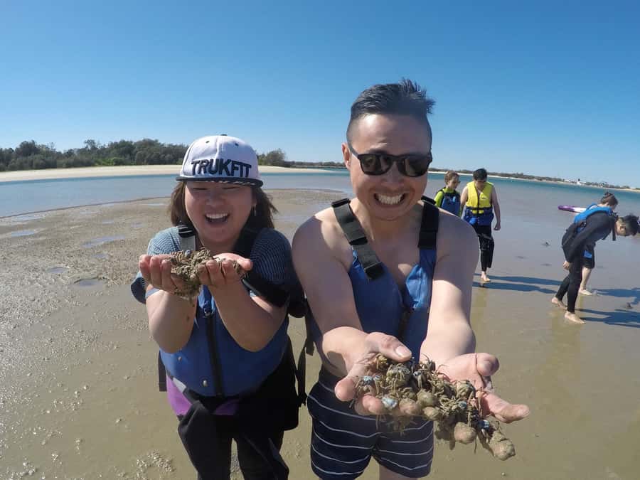 Gold Coast: Kayaking & Snorkelling Tour with Fish Feeding - Should you book the Gold Coast kayak and snorkel tour?