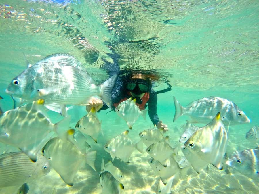 Gold Coast: Wave Break Island Kayaking & Snorkeling tour - Crossing the Broadwater by kayak
