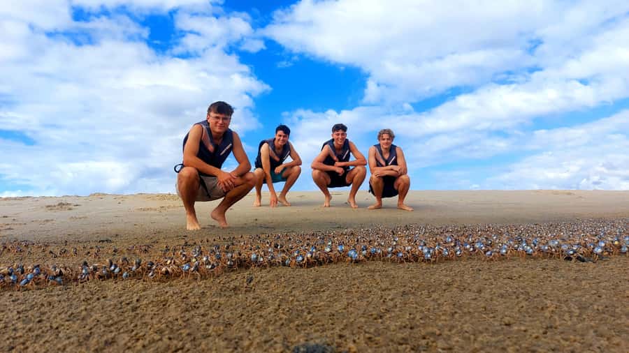 Gold Coast: Wave Break Island Kayaking & Snorkeling tour - Snacks, photos, and a skyline view