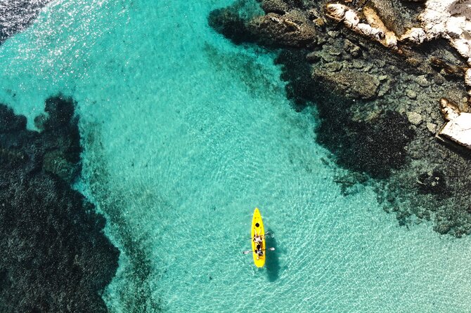 Golfo Aranci: Kayak tour with aperitif&dolphin sighting (max 9 Pax) - Starting at Spiaggia dei Baracconi