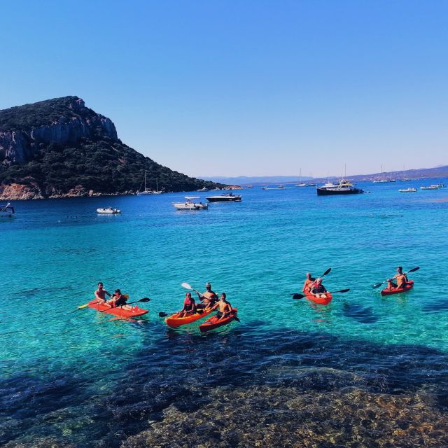 Golfo Aranci: Kayak Tour with Dolphins and Aperitif - Choosing the day’s route around Golfo Aranci