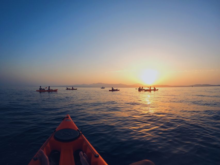 Golfo Aranci: Kayak Tour with Dolphins and Aperitif - Who should book this kayak tour?