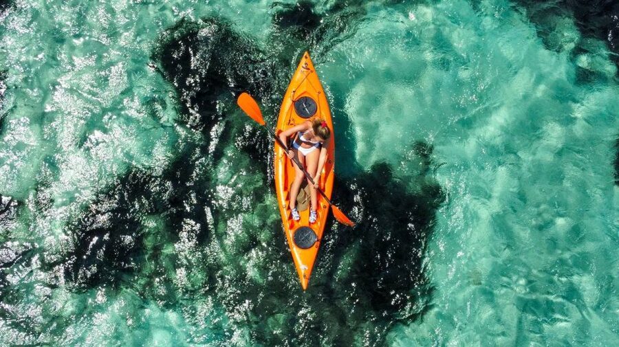 Golfo Aranci: Kayak Tour with Dolphins and Aperitif - Should you book the Golfo Aranci kayak tour?