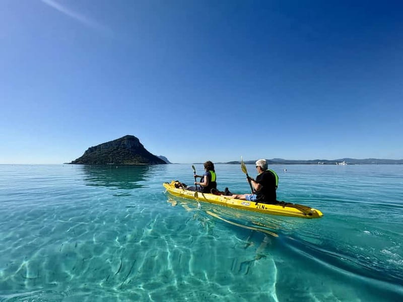 Golfo Aranci:Small group, german guided Kayak tour&Dolphins - Why the dolphins are only part of the appeal
