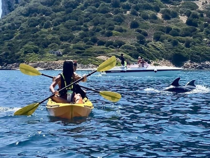 Golfo Aranci:Small group, german guided Kayak tour&Dolphins - Figarolo brings the best food break