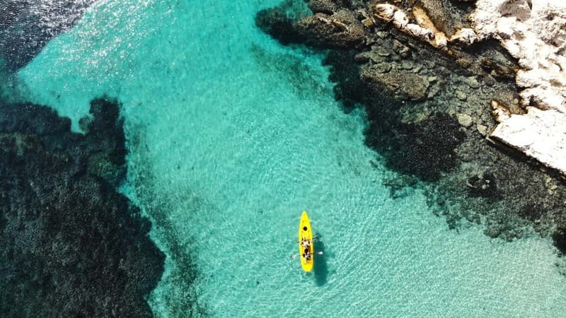 Golfo Aranci:Small group, german guided Kayak tour&Dolphins - Watching dolphins near the fish farm