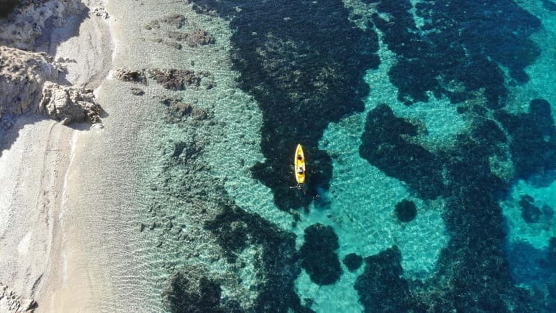 Golfo Aranci:Small group, german guided Kayak tour&Dolphins - Is $58 a fair price?