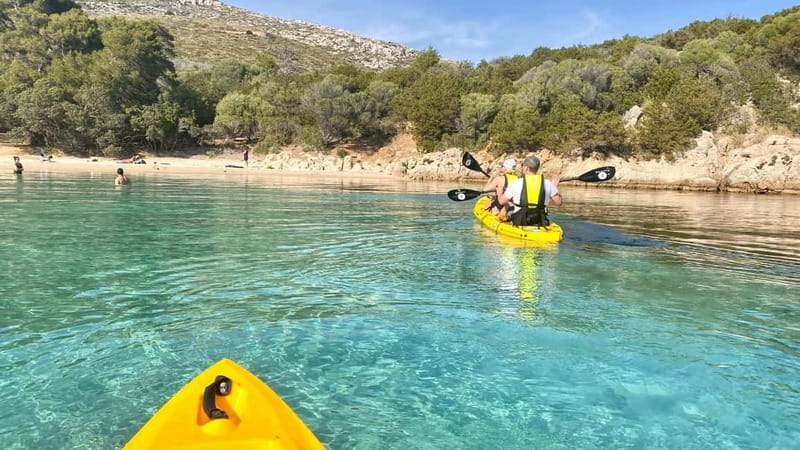 Golfo Aranci:Small group, german guided Kayak tour&Dolphins - Morning, sunset, or late-season outing?