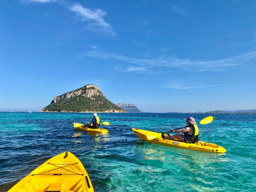 Golfo Aranci: Small group Kayak tour with Aperitif &dolphins - What the $58 Price Gets You
