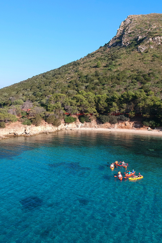 Golfo Aranci: Sunrise Dolphin Kayak Tour with Breakfast - Why sunrise works so well in Golfo Aranci