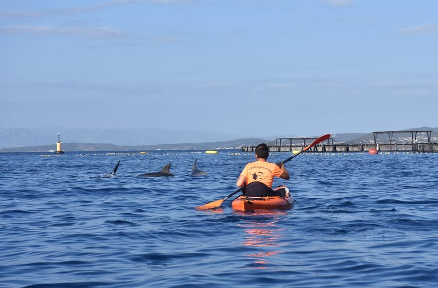 Golfo Aranci: Sunrise Dolphin Kayak Tour with Breakfast - The first paddle and the kayak briefing