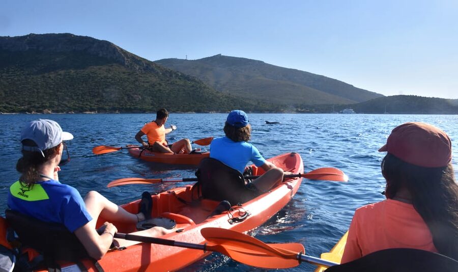 Golfo Aranci: Sunrise Dolphin Kayak Tour with Breakfast - What the $71 price includes
