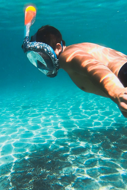 Golfo Aranci: Sunset Dolphin Kayak Tour with Aperitif - Key points to know before booking