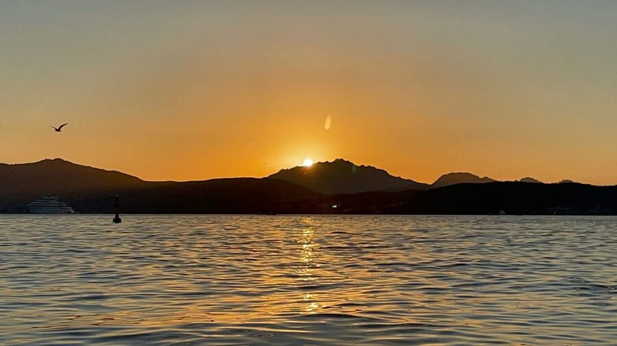 Golfo Aranci: Sunset Dolphin Kayak Tour with Aperitif - A Sardinian aperitif on the water
