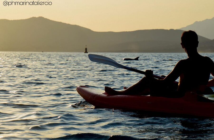 Golfo Aranci: Sunset Dolphin Kayak Tour with Aperitif - Searching for dolphins at sunset