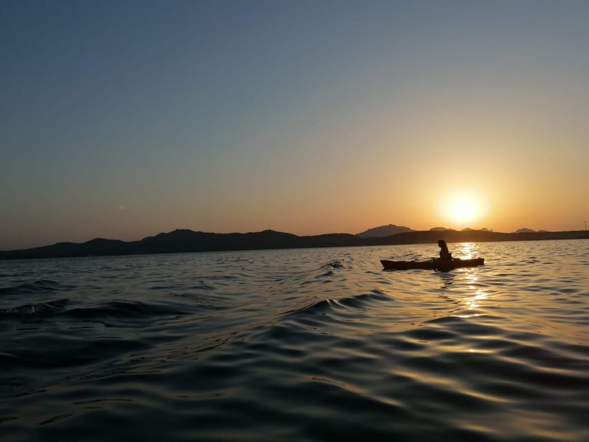 Golfo Aranci: Sunset Dolphin Kayak Tour with Aperitif - Is $65 a fair price?