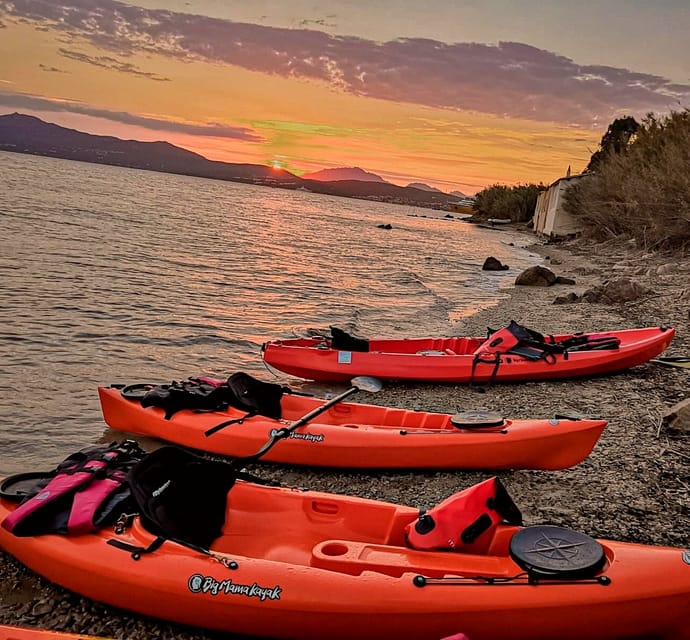 Golfo Aranci: Sunset Dolphin Kayak Tour with Aperitif - Who will enjoy this outing most