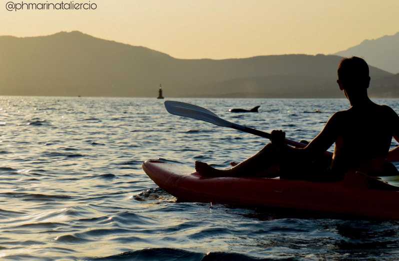Golfo Aranci: Sunset Dolphin Kayak Tour with Aperitif - Coastline views, caves, and quiet coves
