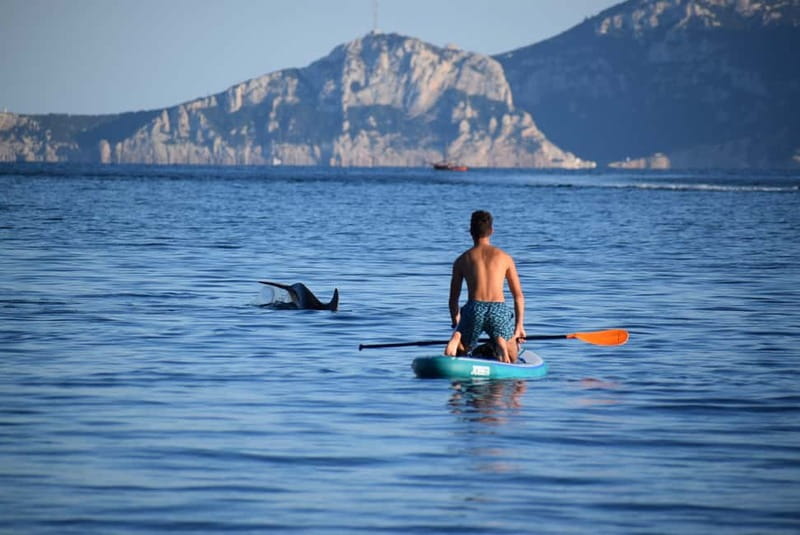Golfo Aranci: Sup with dolphins, aperitif & photo shoot - Key points to know before booking