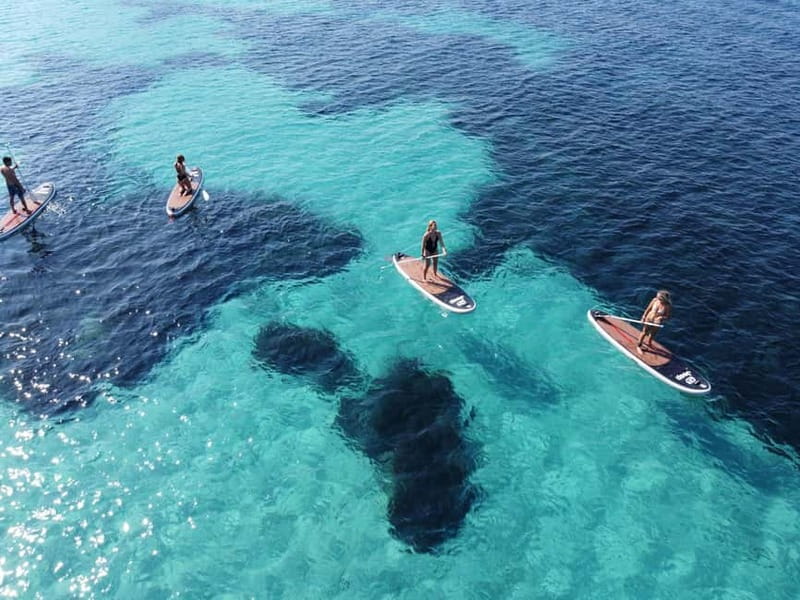 Golfo Aranci tour SUP Paddleboard Dolphin watching, aperitif - Why this Golfo Aranci paddle is more than a boat trip