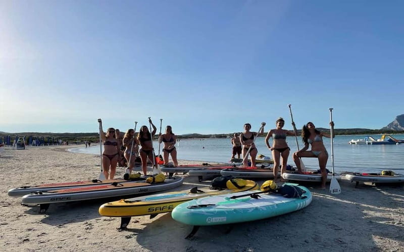 Golfo Aranci tour SUP Paddleboard Dolphin watching, aperitif - Breakfast or aperitif on the water