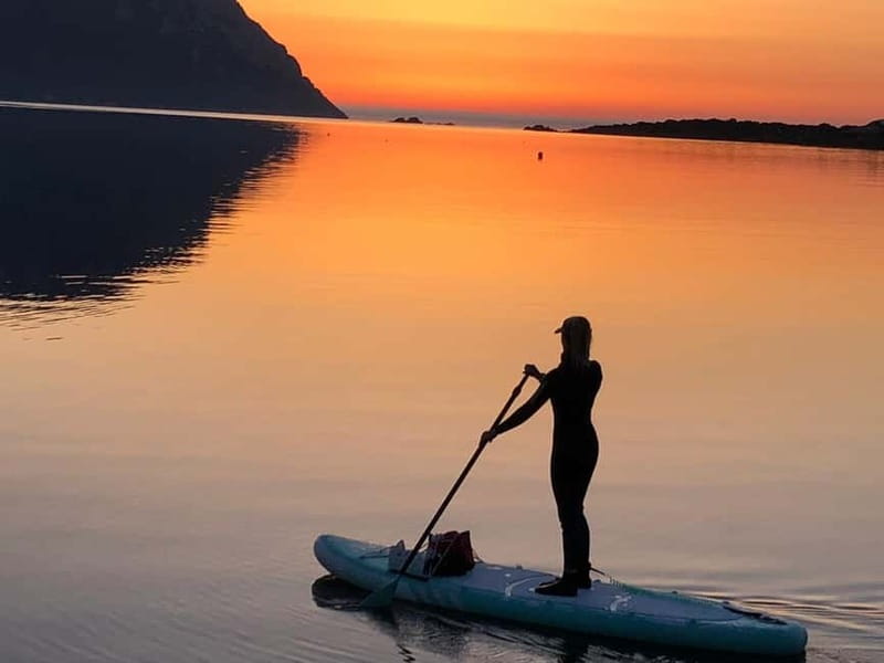 Golfo Aranci tour SUP Paddleboard Dolphin watching, aperitif - Fifty-five minutes looking for dolphins