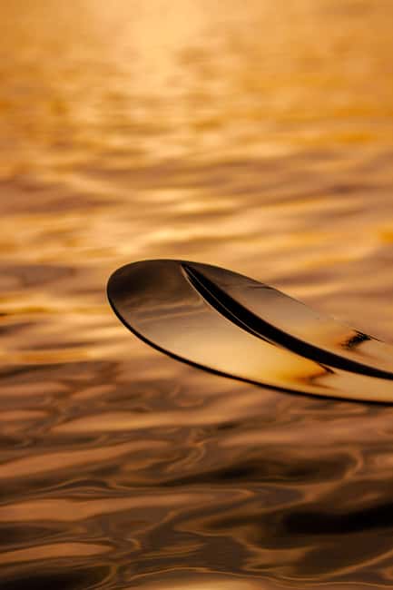 Golfo Aranci: traditional or transparent kayaks, dolphins, and aperitifs - The dolphin search around Golfo Aranci