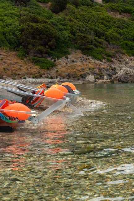 Golfo Aranci: traditional or transparent kayaks, dolphins, and aperitifs - What the $45 price really covers
