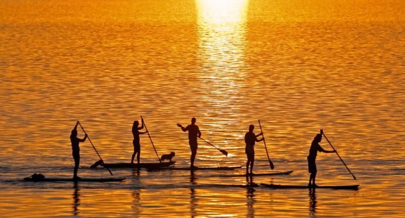 Gran Canaria: Stand-Up Paddle Lesson & Snorkeling Tour - A Guide-Led Experience With Room for Humor