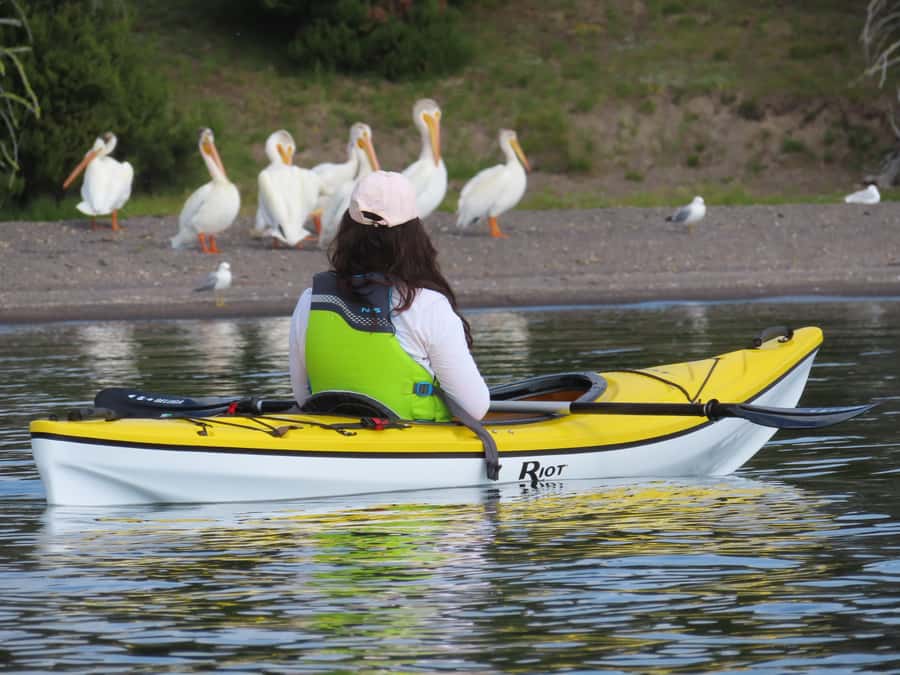 Grant Village: Yellowstone Lake Guided Kayak Tour - Starting early at Grant Village Marina