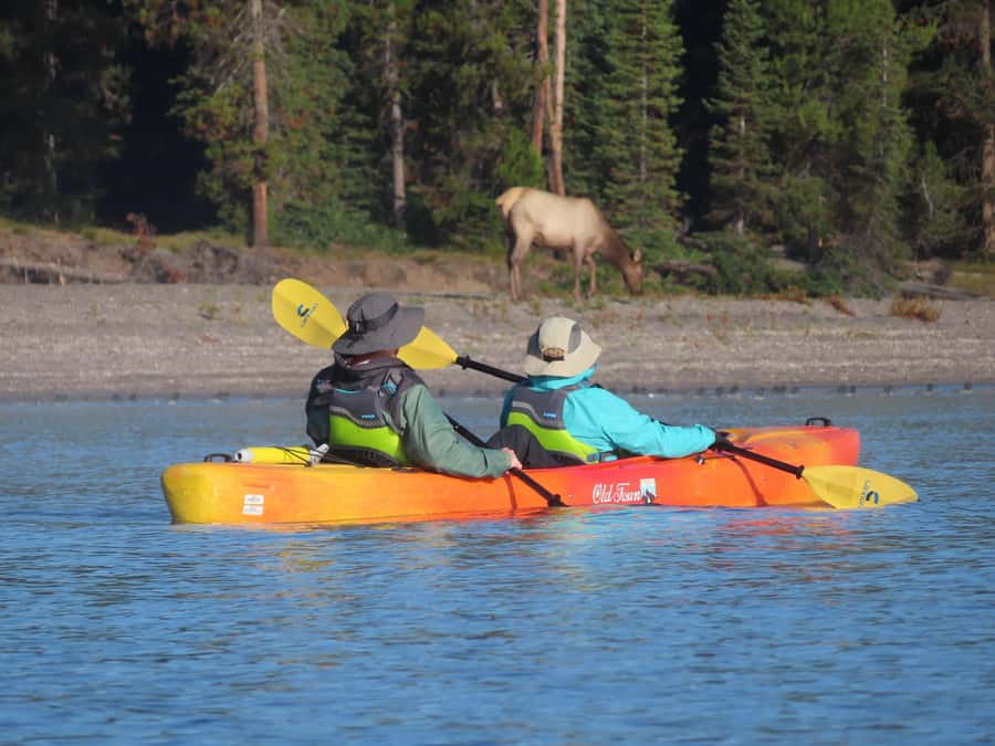 Grant Village: Yellowstone Lake Guided Kayak Tour - Is Grant Village kayak touring worth it?
