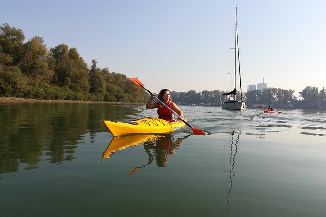 Great War Island Kayak Adventure - Following the coast and circling the island