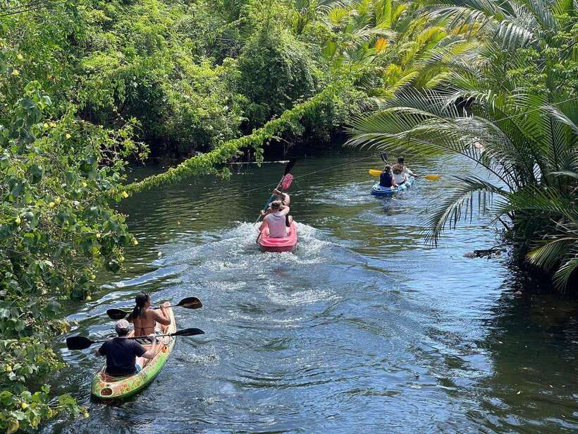 Green Cathedral Kayaking Journey & Reflection River View - Key points to know before you paddle