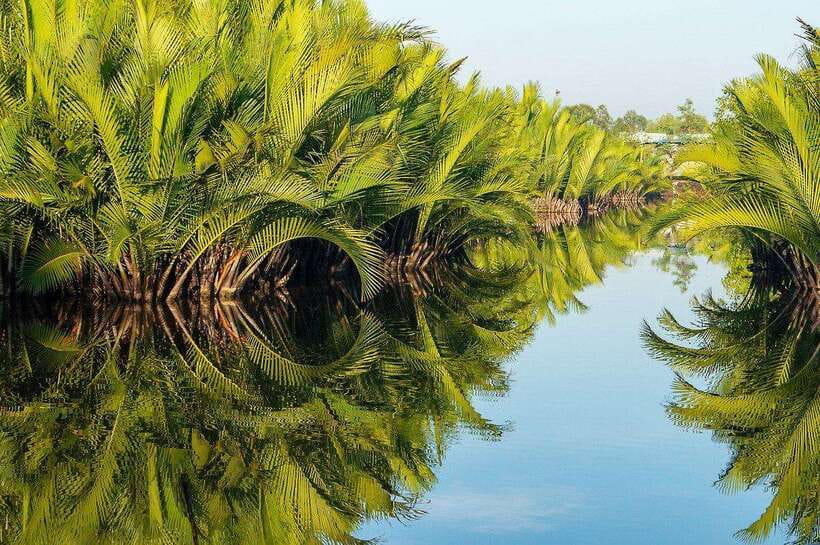 Green Cathedral Kayaking Journey & Reflection River View - Who should book this Kampot kayaking trip?