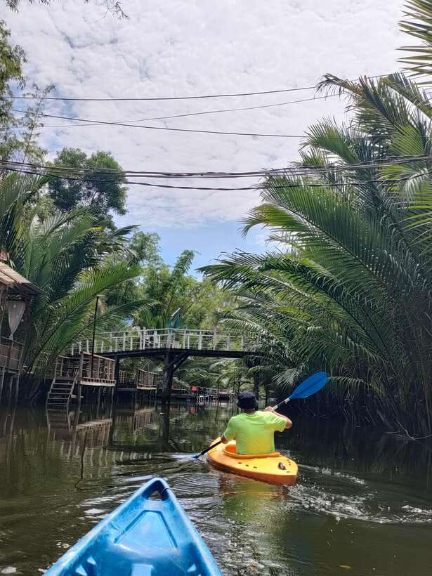 Green Cathedral Kayaking Journey & Reflection River View - Is $28 a fair price?