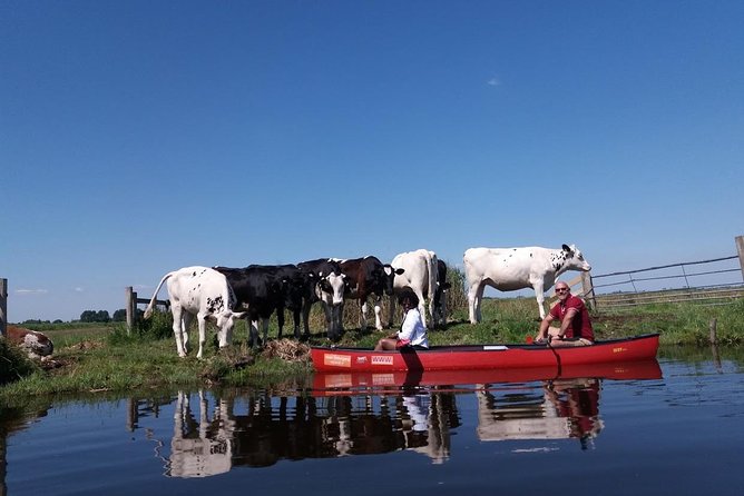 Guided Canoe Adventure with Picnic Lunch in Waterland from Amsterdam - Practical preparation for a comfortable day