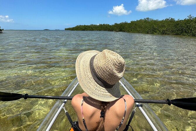 Guided Clear Kayak Eco-Tour Near Key West - Key points to know before you book