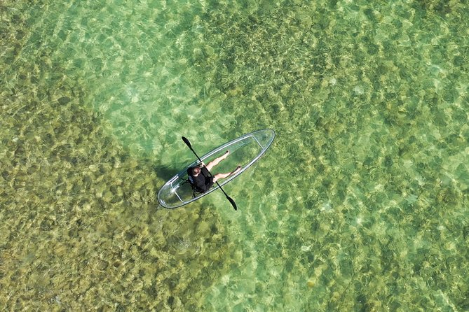 Guided Clear Kayak Eco-Tour Near Key West - Why the clear kayak changes the view
