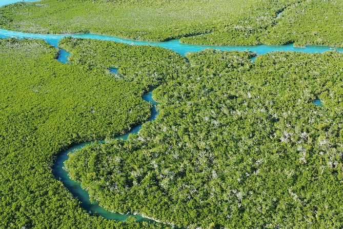 Guided Clear Kayak Eco-Tour Near Key West - Who should book this paddle