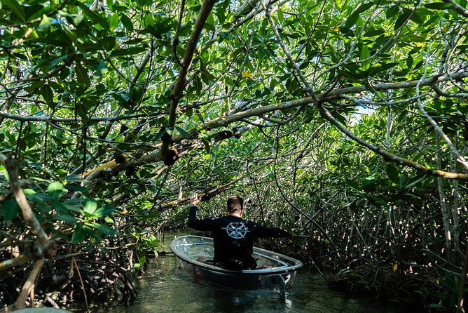 Guided Clear Kayak Eco-Tour Near Key West - Leaving Sugarloaf Marina for the backcountry
