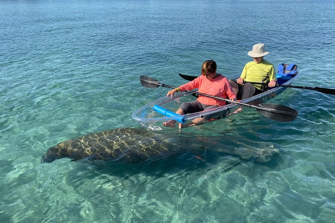 Guided Clear Kayak Eco-Tour of Jupiter - What the Jupiter clear-kayak tour is really like