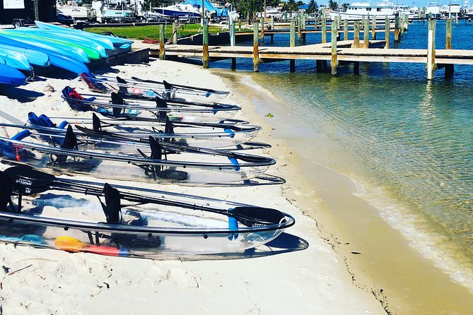 Guided Clear Kayak Eco-Tour of Jupiter - Is $89 a fair price?