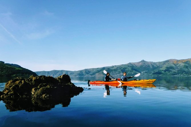 Guided Electric Mountain Bike & Sea Kayak Tour in Akaroa - The $192.38 price and what you receive