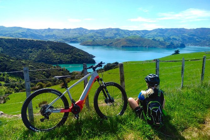 Guided Electric Mountain Bike & Sea Kayak Tour in Akaroa - Who should book this Akaroa adventure?