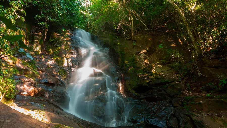 Guided Hike and Kayak or SUP River Tour w/ Transfer - What to pack and what to confirm