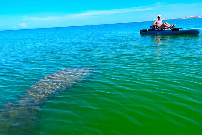 Guided Hobie Kayak EcoTour: Premium Eco Experience Bonita Springs - Key details before you book