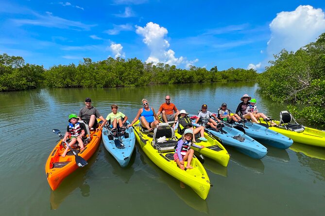 Guided Hobie Kayak EcoTour: Premium Eco Experience Bonita Springs - Starting at Big Hickory Pass Bridge