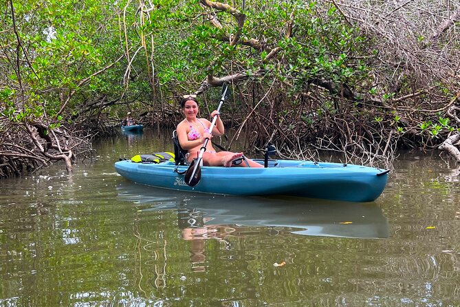 Guided Hobie Kayak EcoTour: Premium Eco Experience Bonita Springs - What makes the Hobie kayaks worth the price