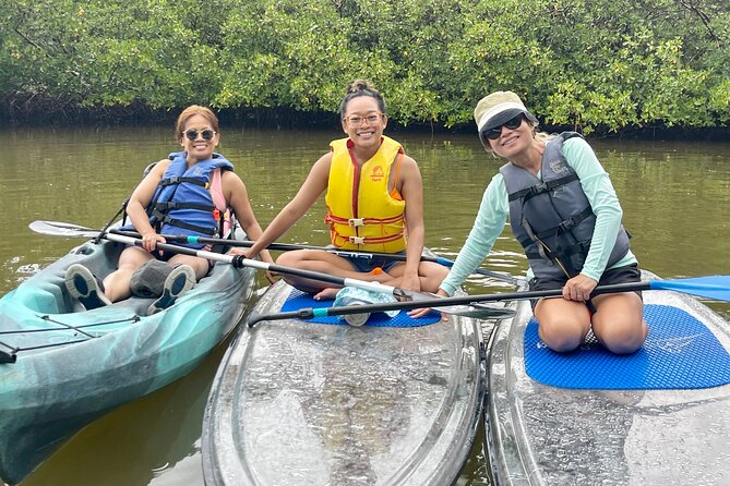Guided Island EcoTour: CLEAR/Standard Kayak, SUP - Bonita Springs - A beach stop for shells, birds, and a little walking